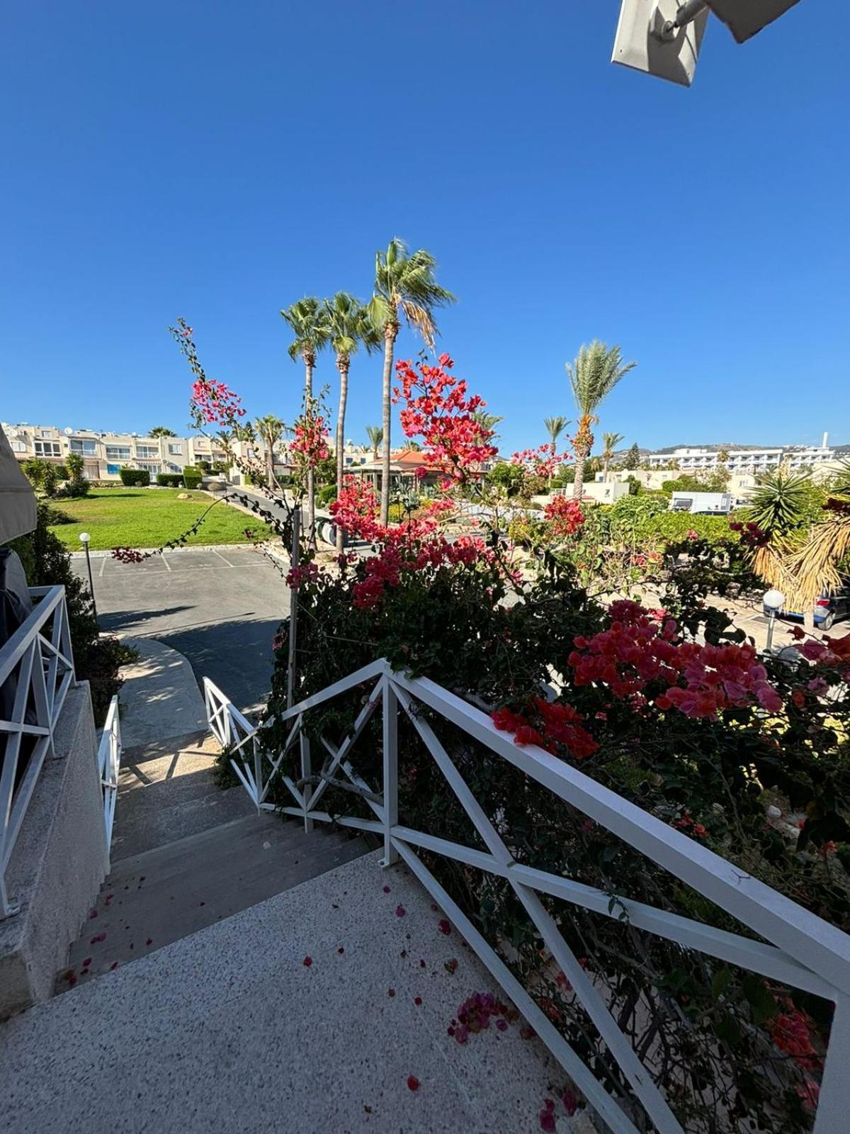 Horizon Bliss At Coral Bay Apartment Peyia Exterior foto